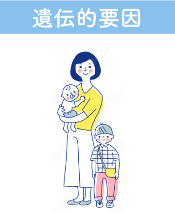 遺伝的要因